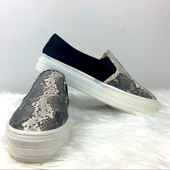 Ccocci Ellie Snake Print Sneaker Black Size 6 - Picture 1 of 6